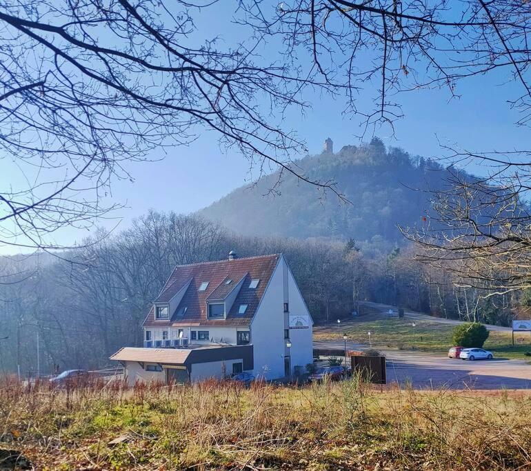 Au Pied Du Chateau Оршвиллер Экстерьер фото